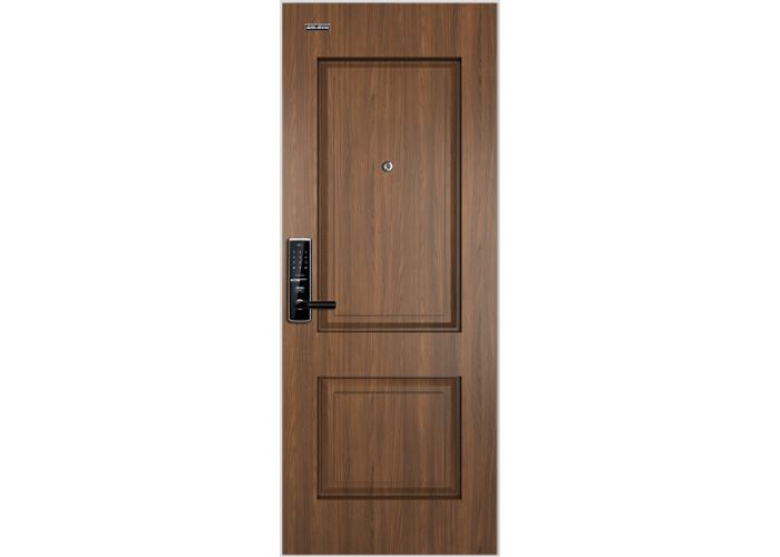 Cửa chống cháy vân gỗ galaxy